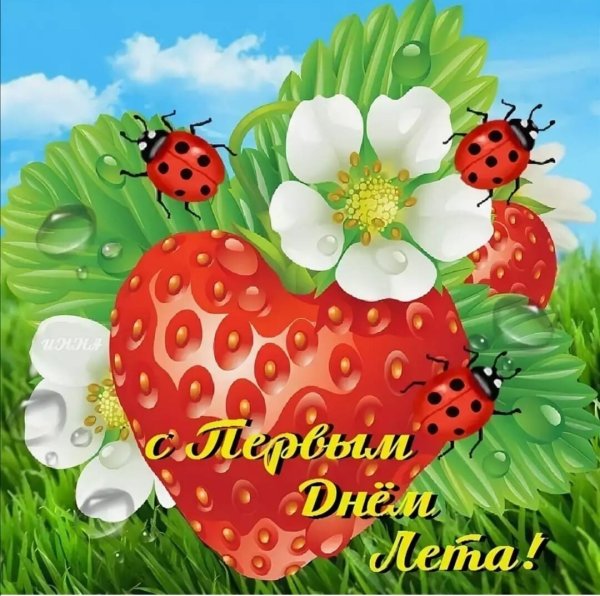 С первым днём лета открытки красивые