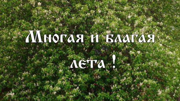 Многая и Благая лета
