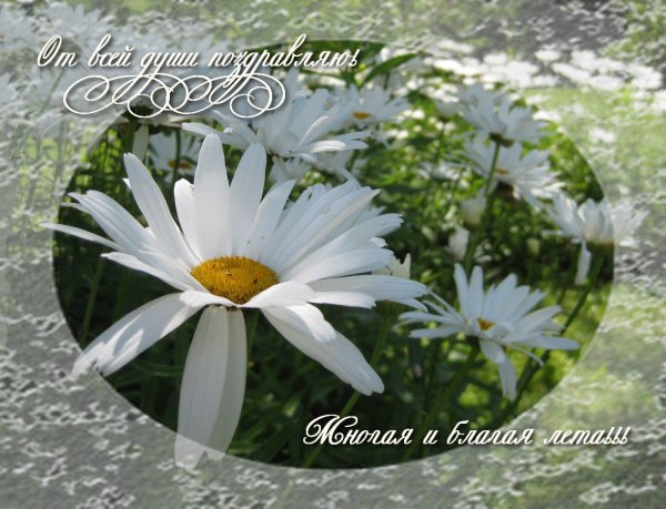 Многое лета поздравление