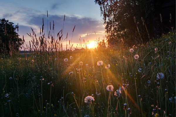 Природа Южного Урала Солнечная Поляна