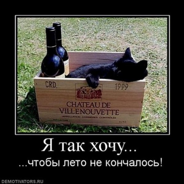 Приколы уходящего лета