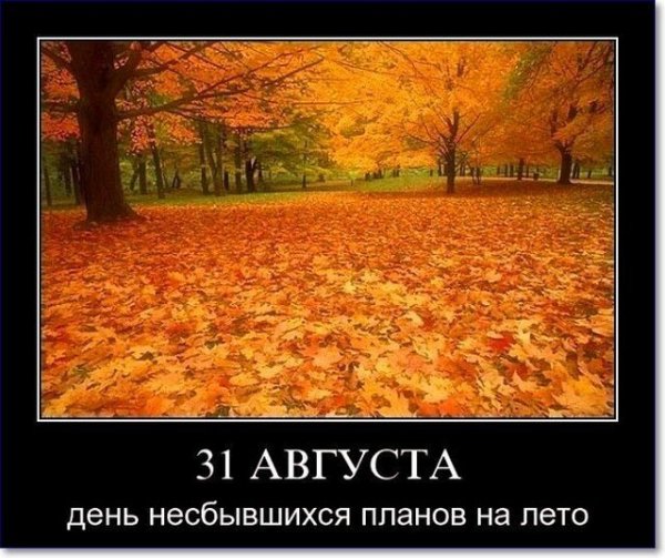 Вот и лето прошло прикол