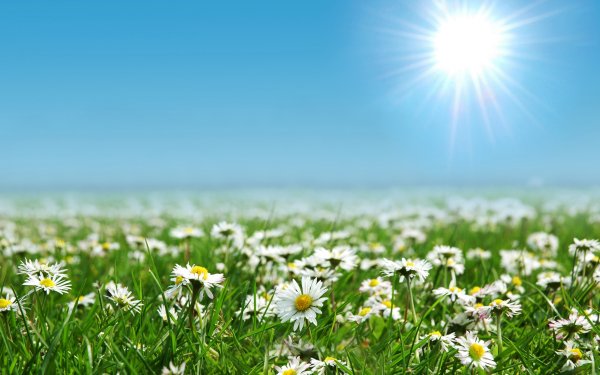 Собираетесь кого-нибудь полюбить? Научитесь сначала прощать.