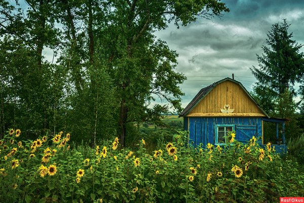 Домик в деревне