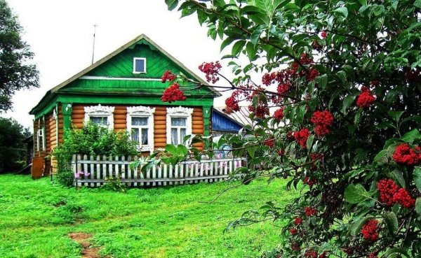 Деревенский домик летом