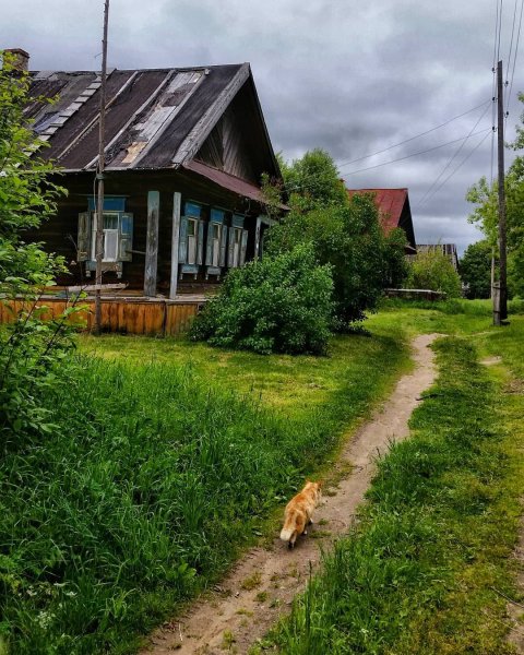 Деревни деревни у реки