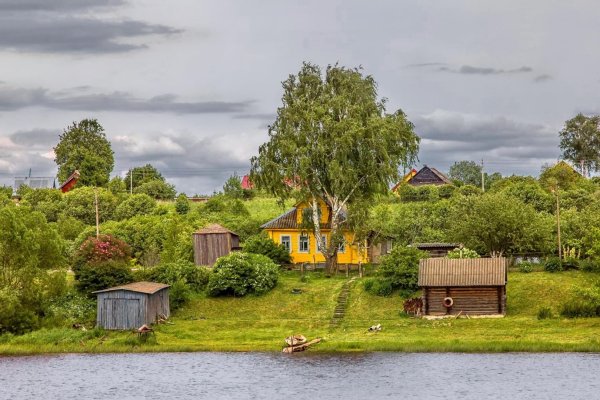 Природа в деревне летом