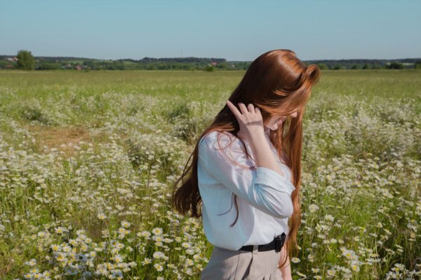 Фон лето