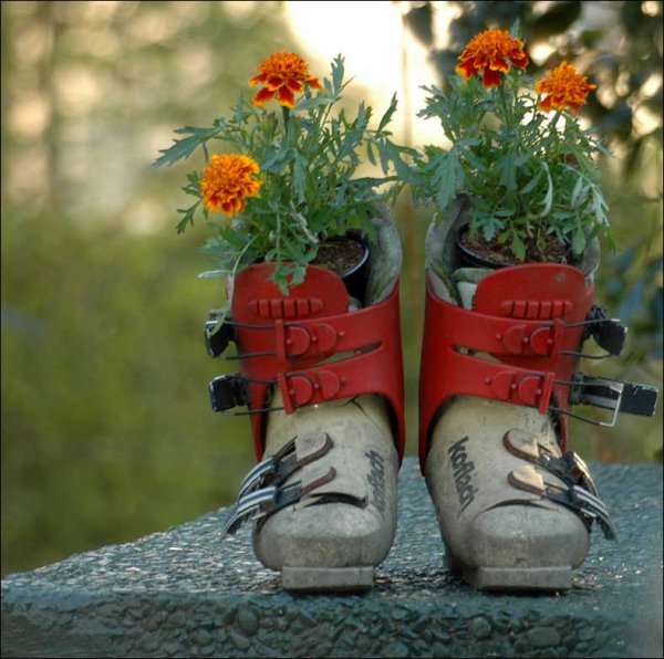 Лето картинки прикольные