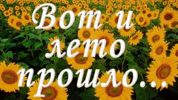 Вот и лето прошло