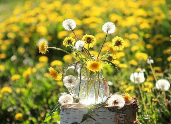 Ландыши и земляника