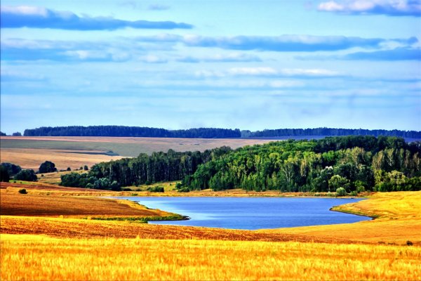 Россия поля леса реки