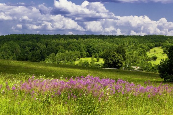 Родные просторы Татарстана пейзаж