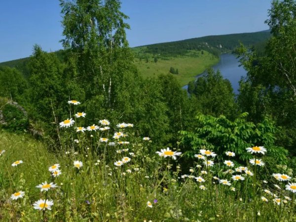 Пермский край лето