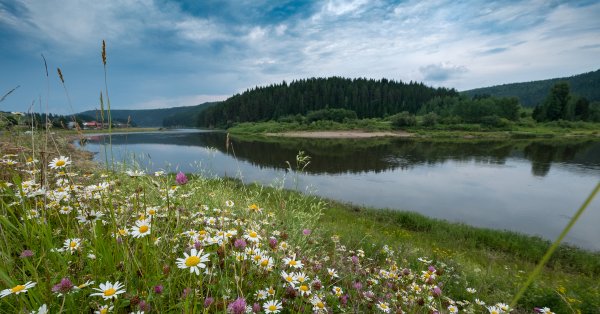 Луга Пермского края