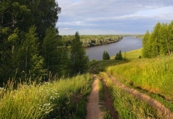 Деревня Лесные цветы Сасовский район