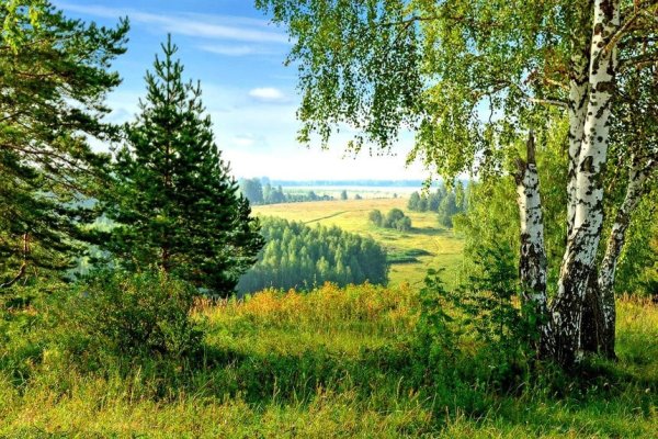 Родные просторы природа края