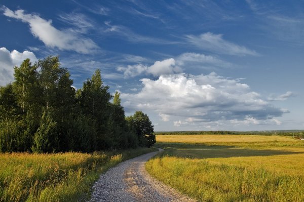 Пейзаж фото лето