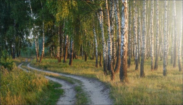 Поля Марий Эл