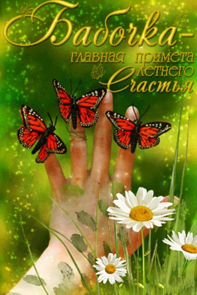 Открытки с добрым утром с бабочками