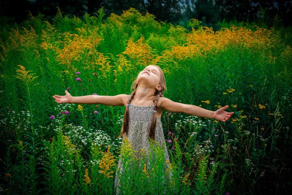 Летняя тишина