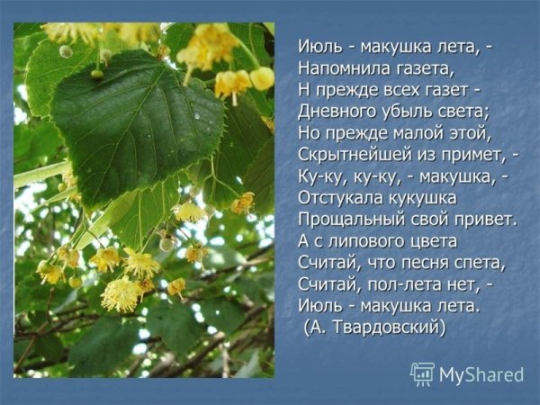 Девушка с васильками