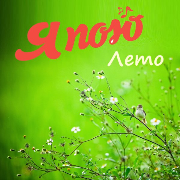 Солнце радость