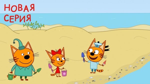 Три кота на пляже