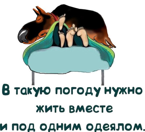 Торт девушка на кровати