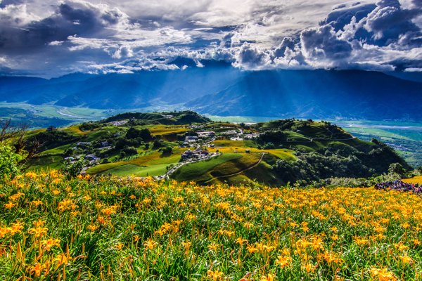 Цветущие поля и горы