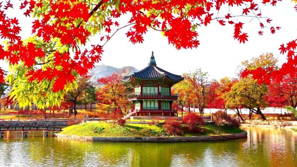 Кёнбоккун Корея дворец осенью
