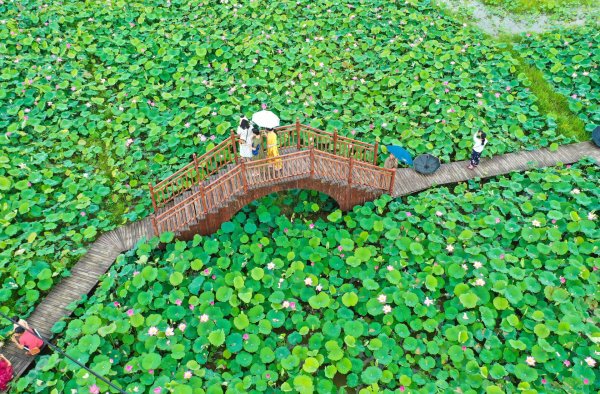 Китайские девушки на природе