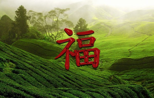 Карнавал в Китае с драконами