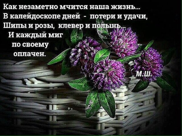 Пусть день пролетит незаметно