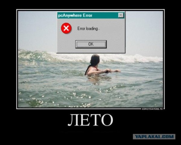 Пол лета прикол