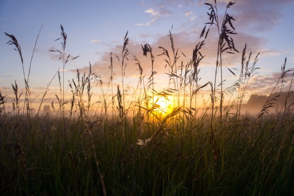 Прошедшее лето