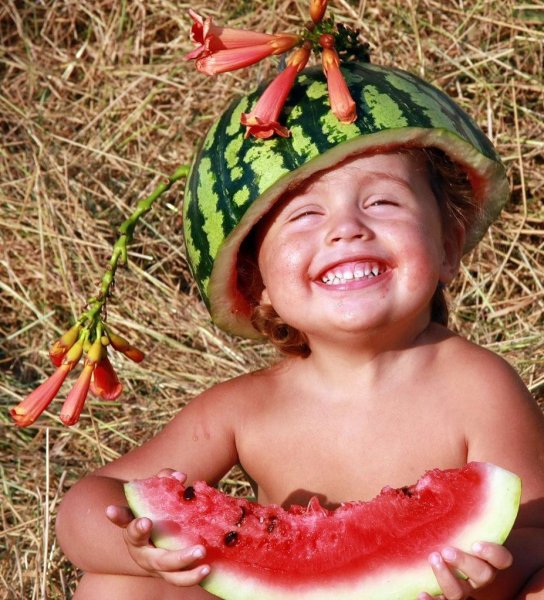 Приколы про жару