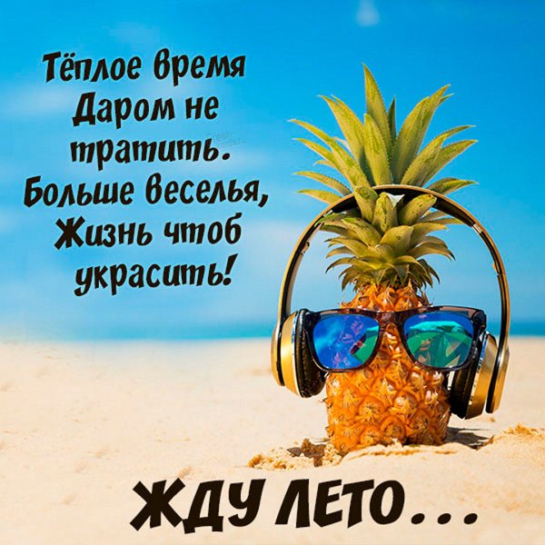 Лето пришло