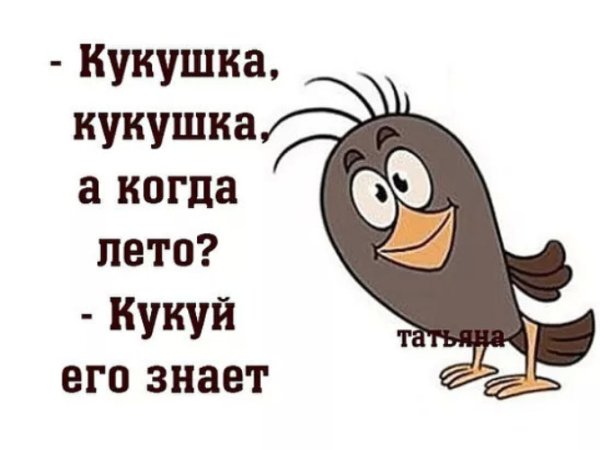 Приколы про лето