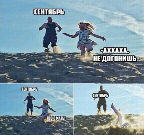 Смешные мемы про лето