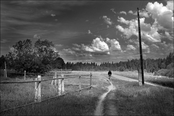 Черно белое лето