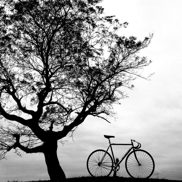 Велосипед черно белый