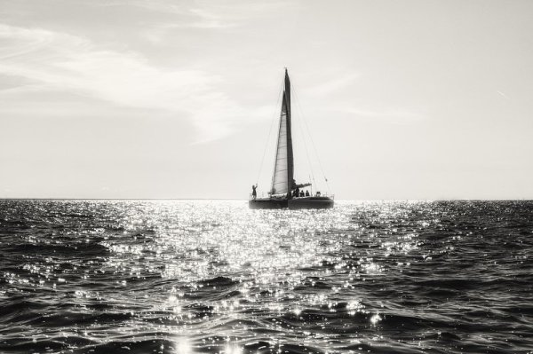 Черно белое лето