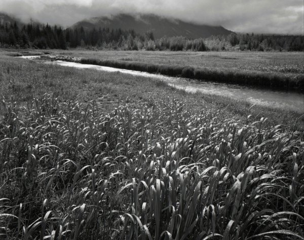 Чёрно белые снимки