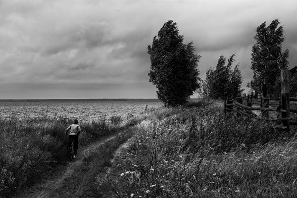 Сельская природа