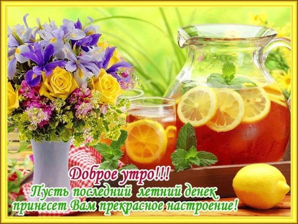 С добрым летним утром и хорошим днём