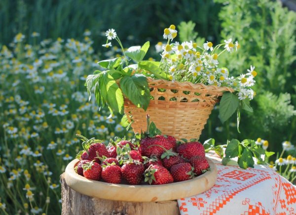 Открытки летнего настроения