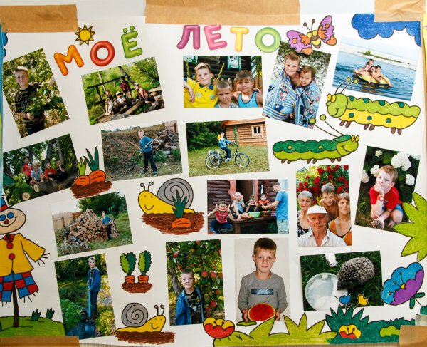 Коллаж сада