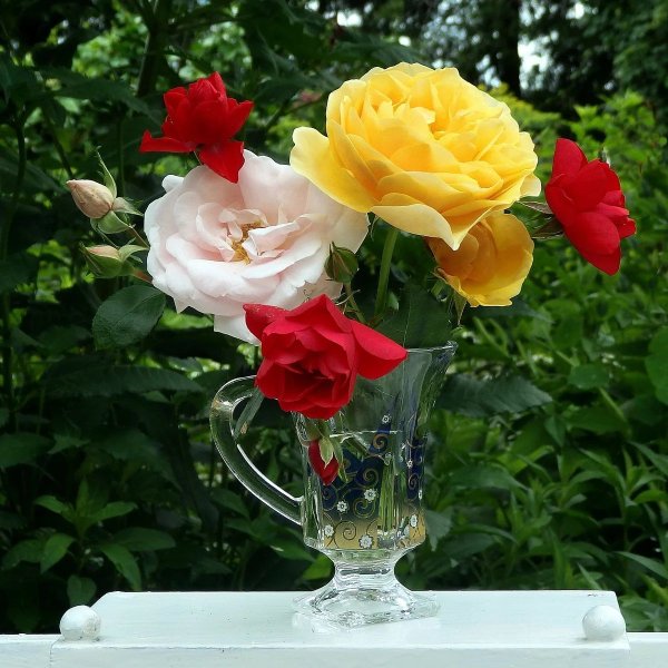 Розочки лето