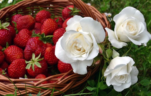 Цветы и фрукты